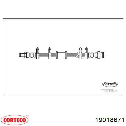  19018671 Corteco