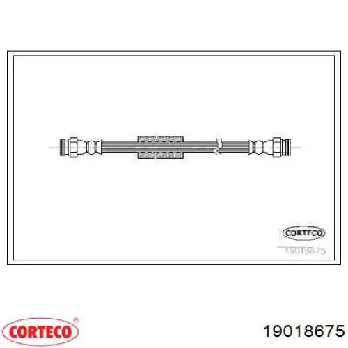  19018675 Corteco