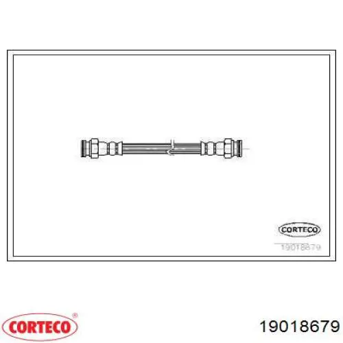  19018679 Corteco