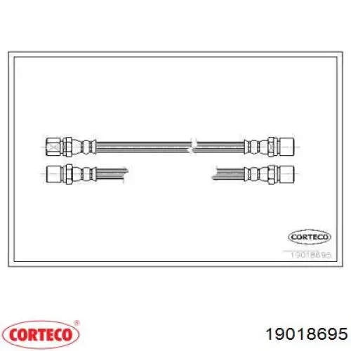  19018695 Corteco