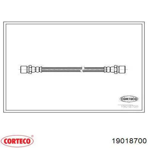  19018700 Corteco