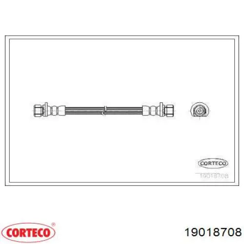  19018708 Corteco