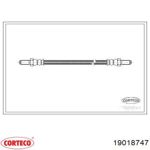  19018747 Corteco