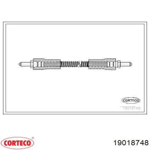  19018748 Corteco