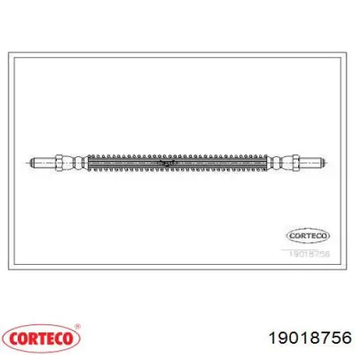  19018756 Corteco