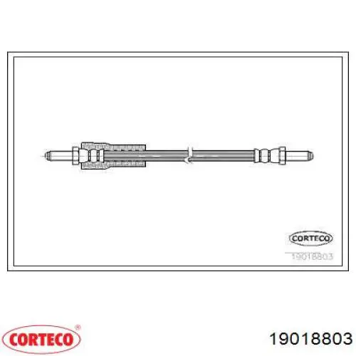  19018803 Corteco