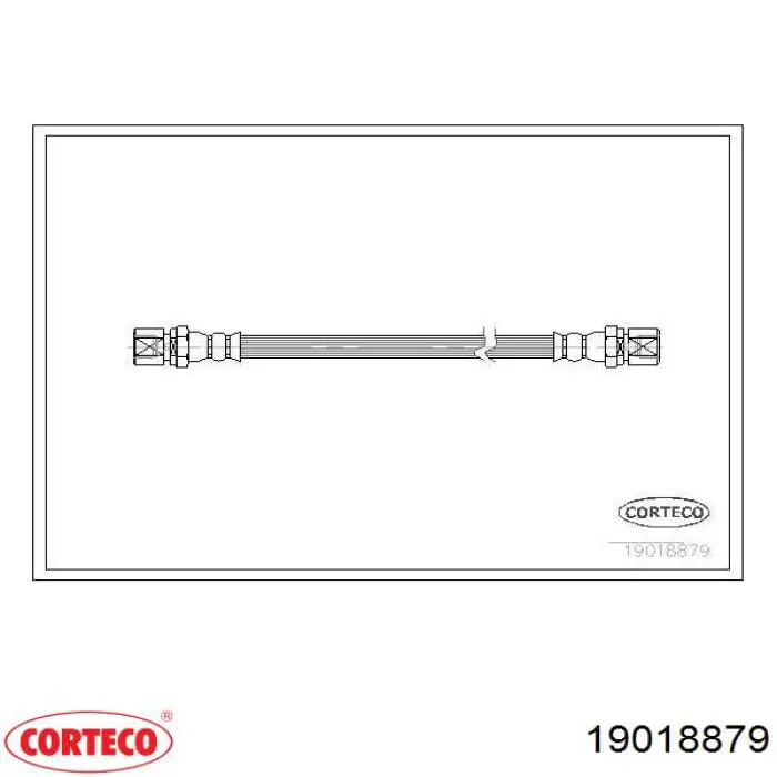 19018879 Corteco