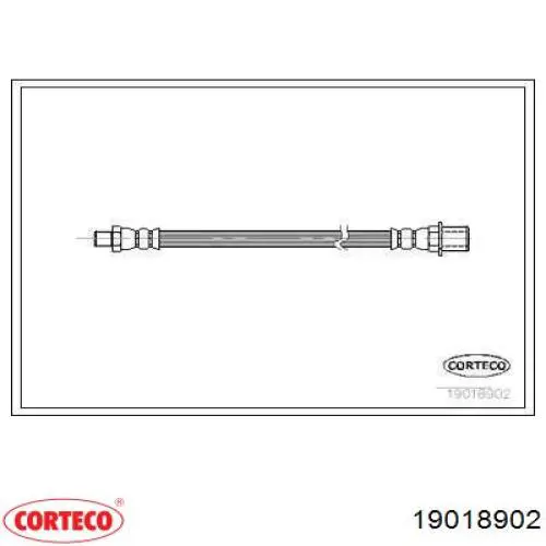  19018902 Corteco