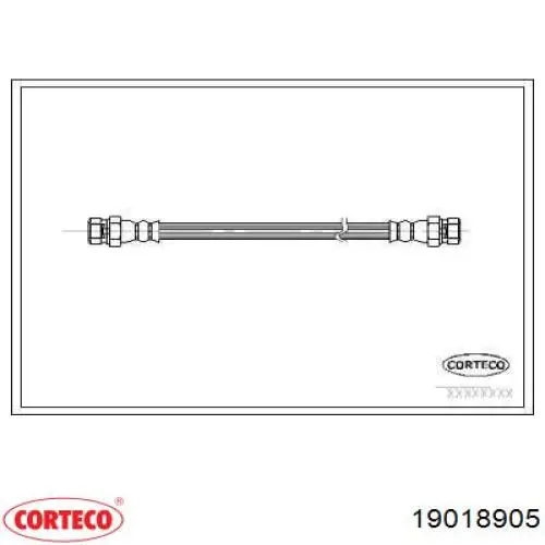  19018905 Corteco