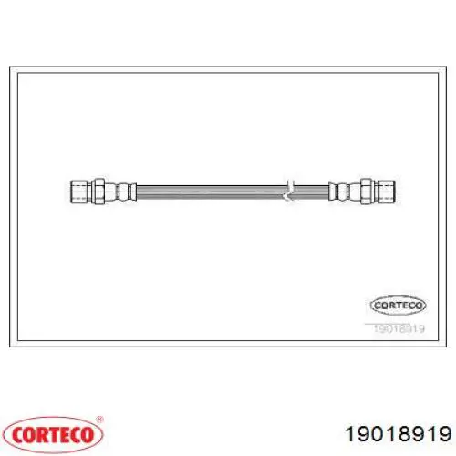  19018919 Corteco