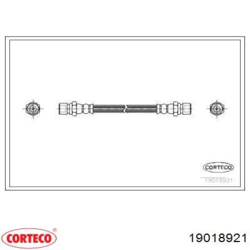  19018921 Corteco