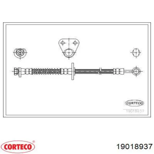  19018937 Corteco