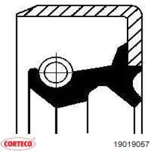 Сальник передней ступицы внешний 19019057 Corteco