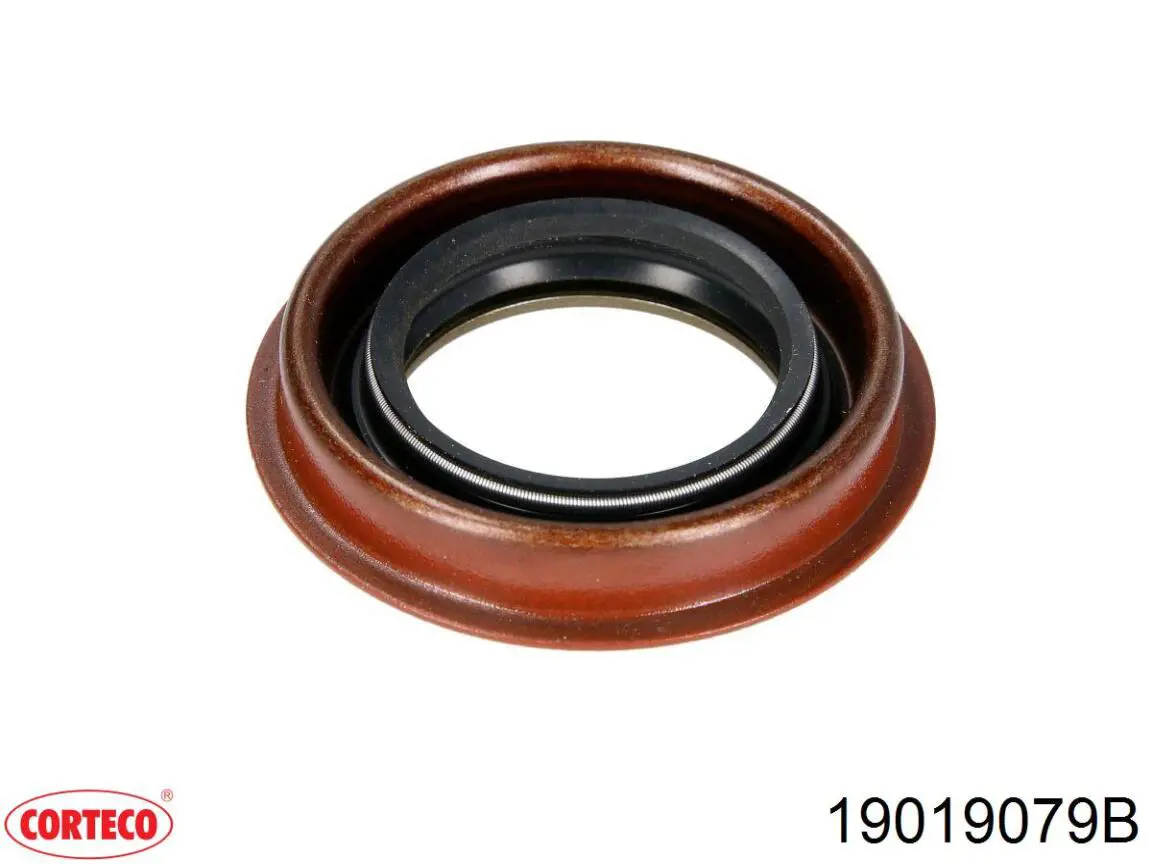 19019079B Corteco