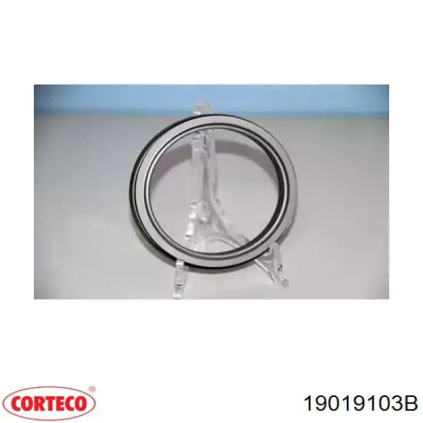 Сальник коленвала задний Corteco 19019103B цена, от 35.01 USD