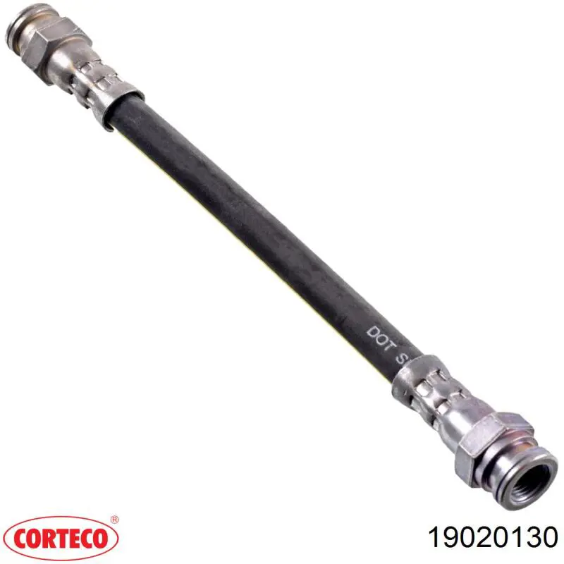 19020130 Corteco