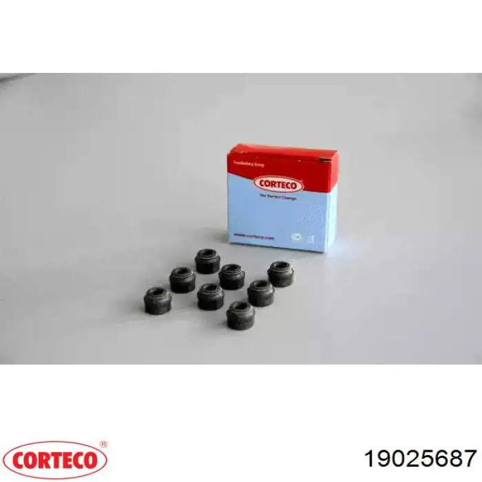19025687 Corteco сальник клапана (маслосъемный, впуск/выпуск)