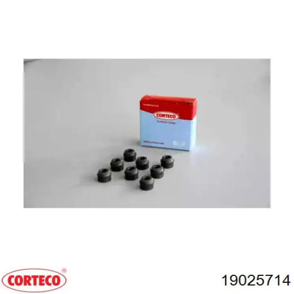 19025714 Corteco сальник клапана (маслосъемный, впуск/выпуск)