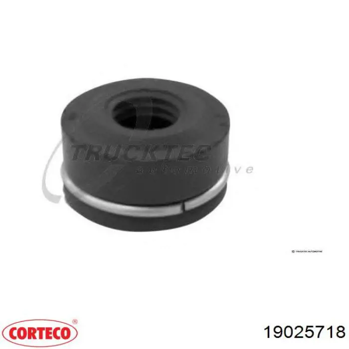  Corteco 19025718 цена, от 7.68 USD