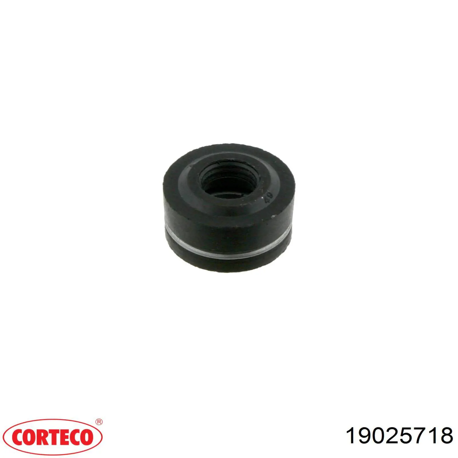 19025718 Corteco 