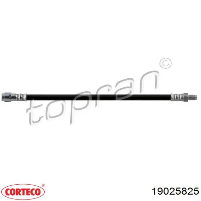 Купить 19025825 Corteco Задний тормозной шланг