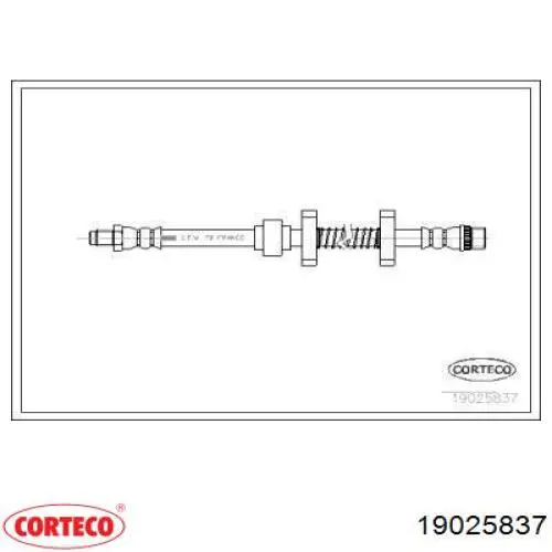  19025837 Corteco