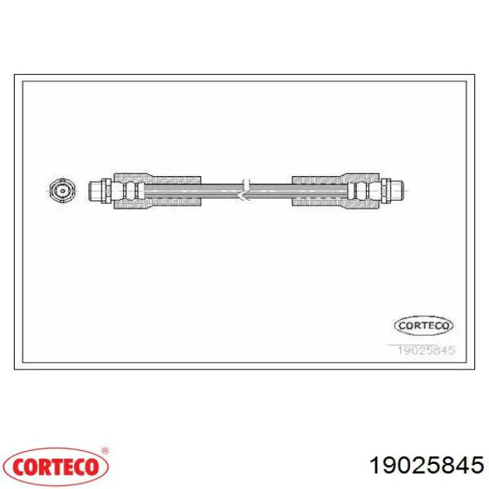 Latiguillo de freno delantero 19025845 Corteco