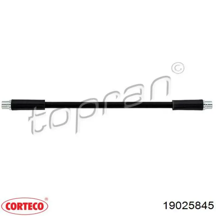 Шланг тормозной передний Corteco 19025845 цена, от 8.17 USD