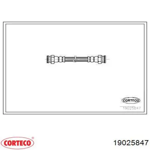  19025847 Corteco