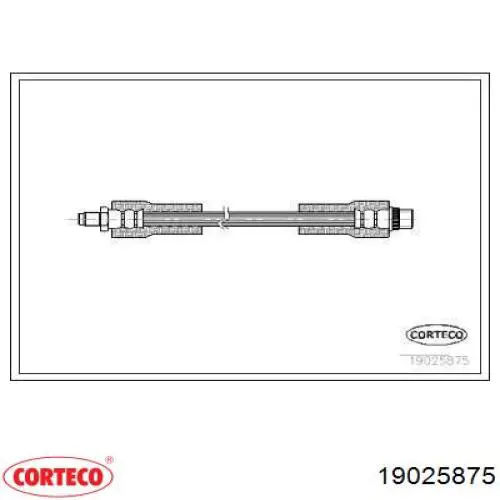  19025875 Corteco