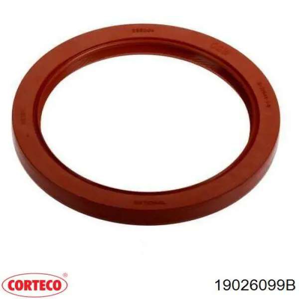 Сальник коленвала коренной Corteco 19026099B