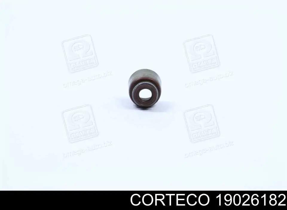 19026182 Corteco сальник клапана (маслосъемный, впуск/выпуск)