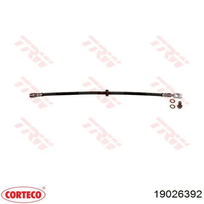 Шланг тормозной передний Corteco 19026392 цена, от 12.59 USD