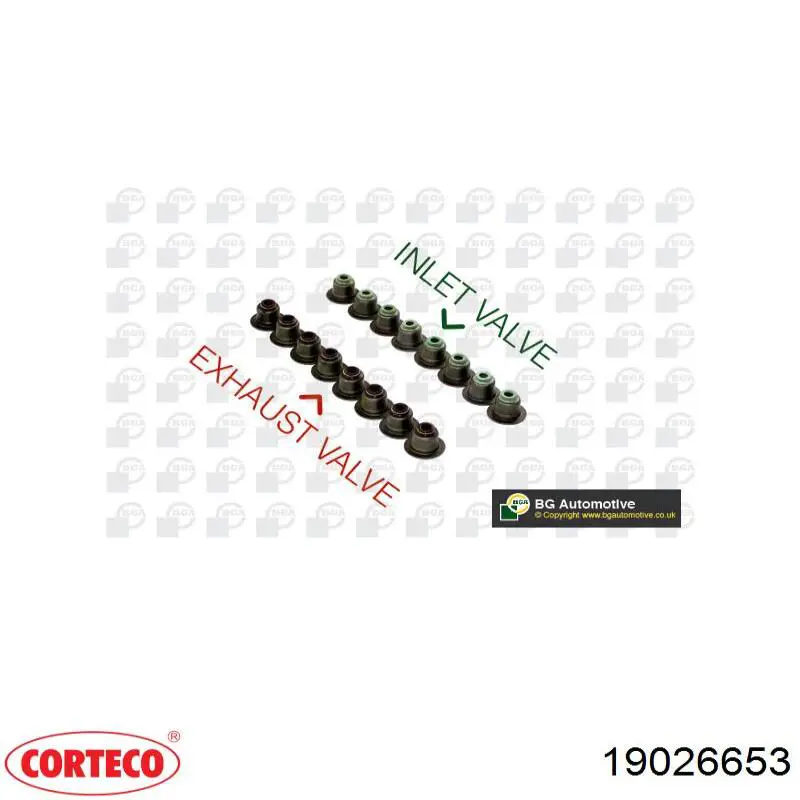 Купить 19026653 Corteco Маслосъемный колпачок (сальник клапана) впуск/выпуск, комплект на мотор