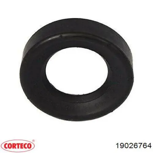 19026764 Corteco