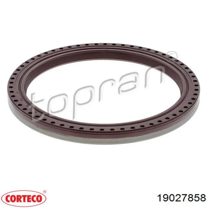 19027858 Corteco