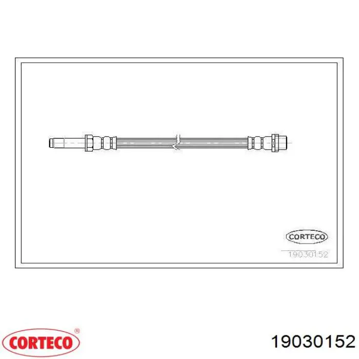19030152 Corteco