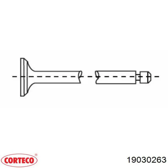 19030263 Corteco 