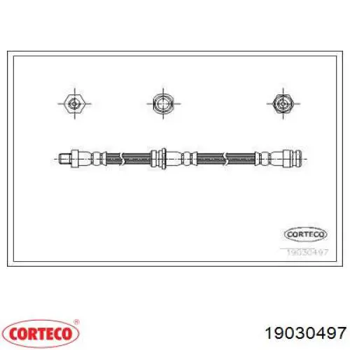  19030497 Corteco