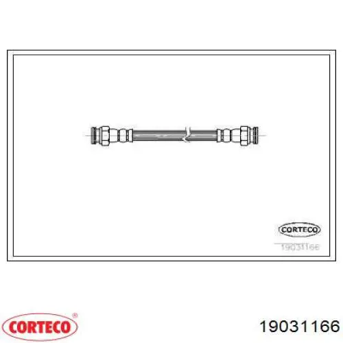  19031166 Corteco