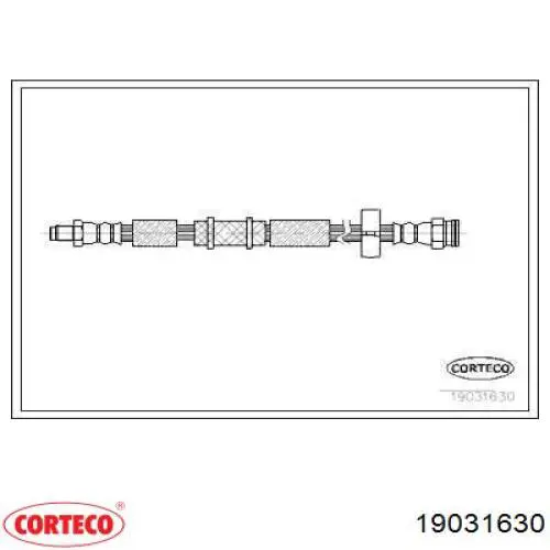  19031630 Corteco
