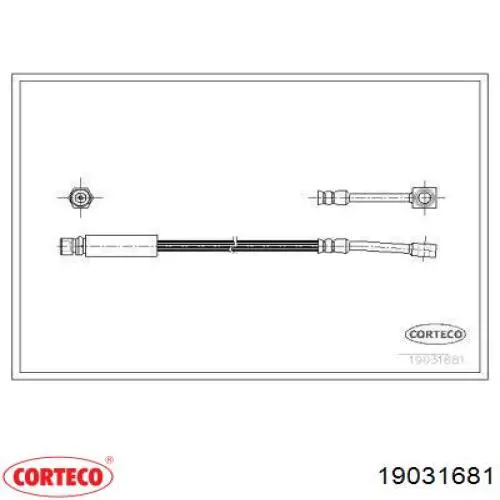 19031681 Corteco