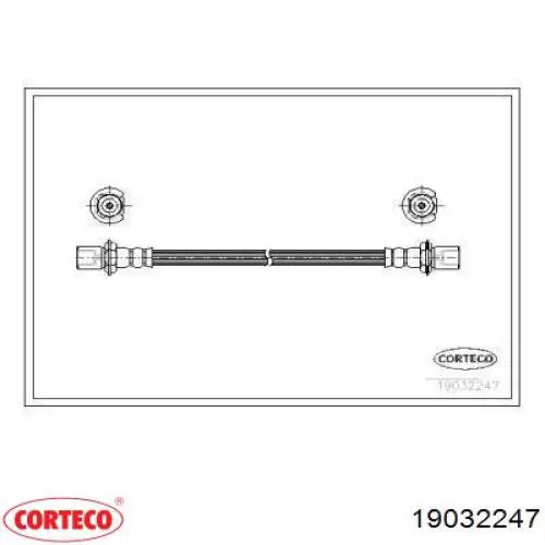  19032247 Corteco