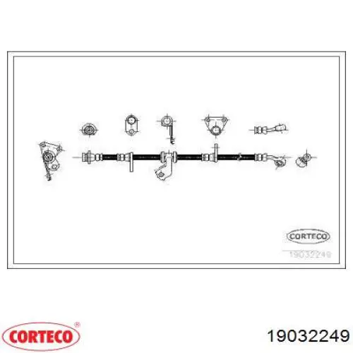  19032249 Corteco