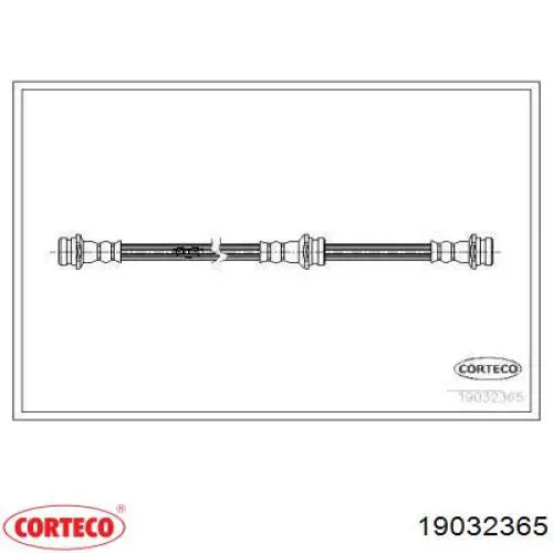  19032365 Corteco