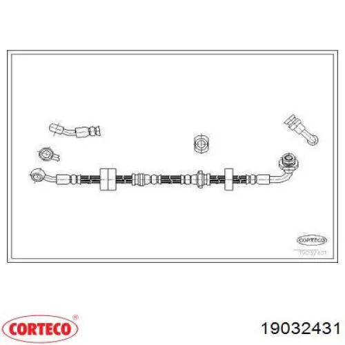  19032431 Corteco