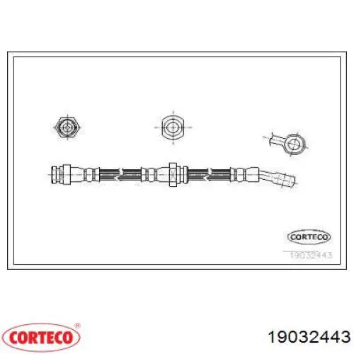  19032443 Corteco