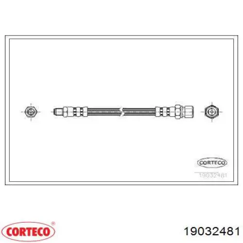  19032481 Corteco