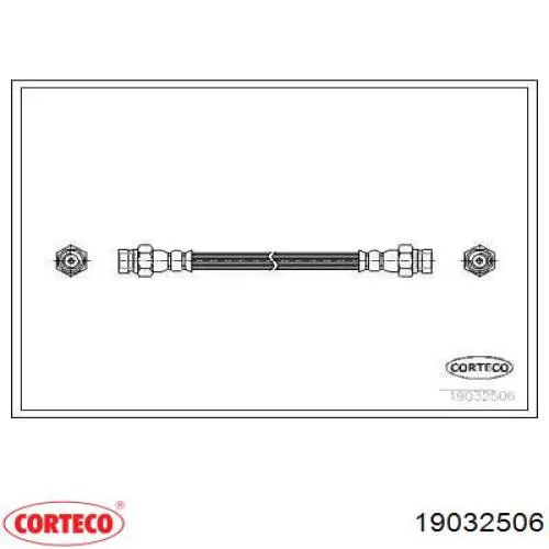  19032506 Corteco