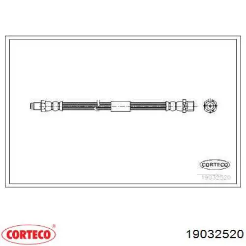  19032520 Corteco